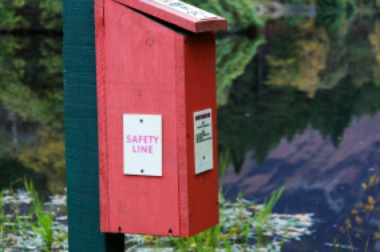 Feedback - fertilizer for leadership growth