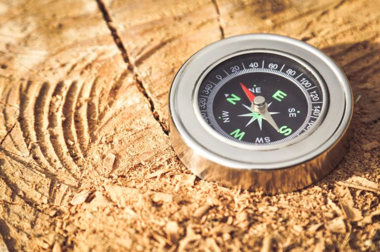 Organisations need a moral compass